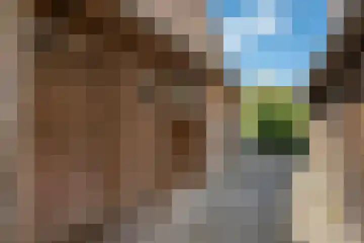 Kerspel 52 Vries thumbnail 26