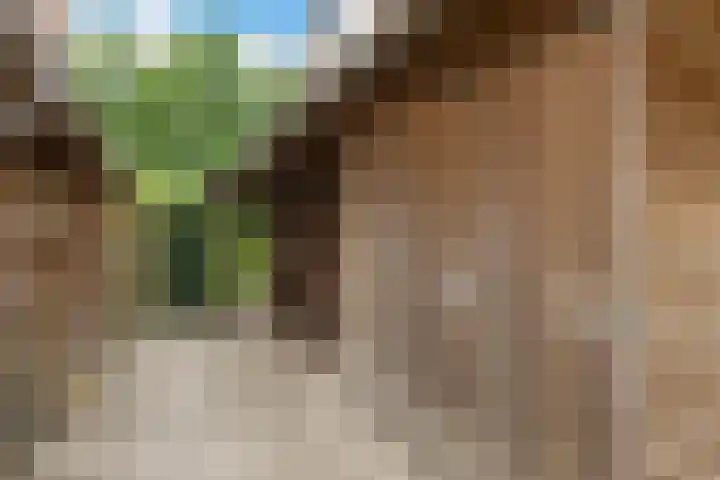 Kerspel 52 Vries thumbnail 27