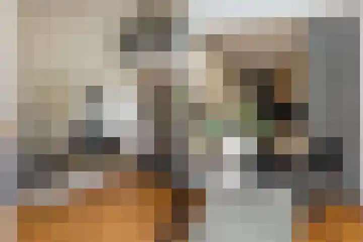 Kerspel 52 Vries thumbnail 28