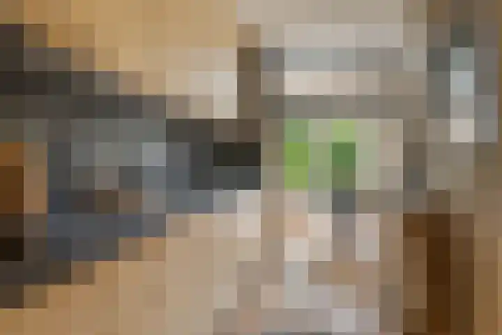 Kerspel 52 Vries thumbnail 31