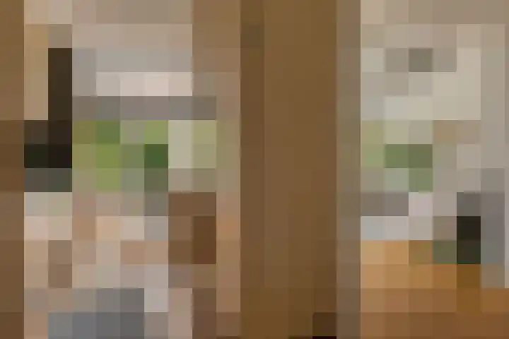 Kerspel 52 Vries thumbnail 35