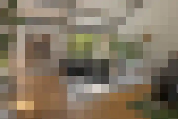 Kerspel 52 Vries thumbnail 36