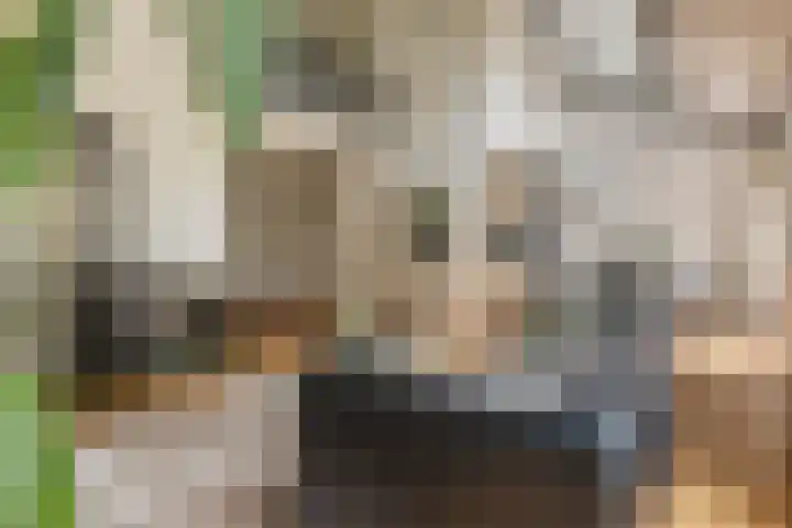 Kerspel 52 Vries thumbnail 38