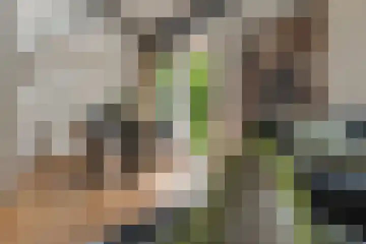 Kerspel 52 Vries thumbnail 39