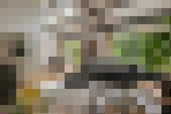 Kerspel 52 Vries thumbnail 40