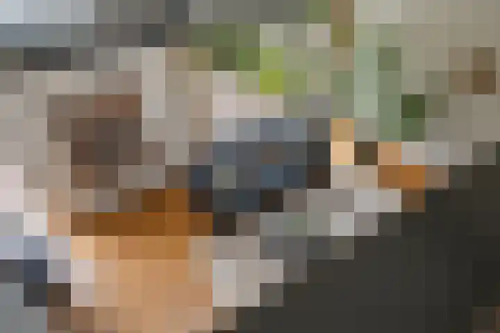 Kerspel 52 Vries thumbnail 42