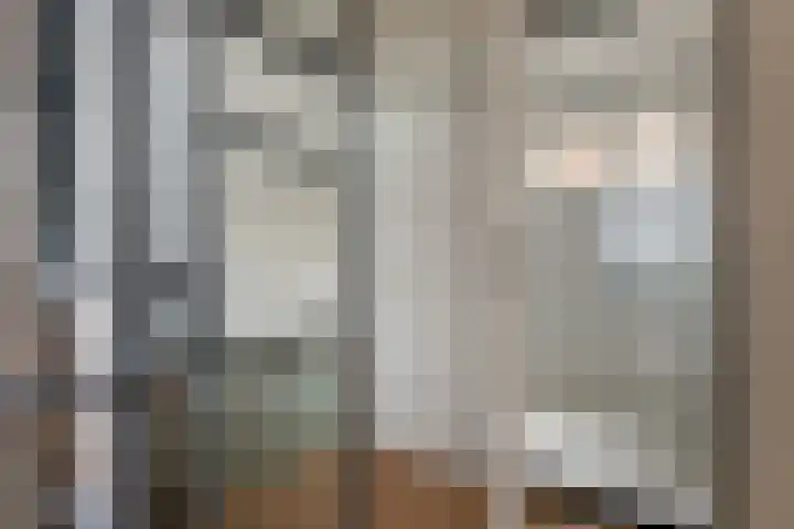 Kerspel 52 Vries thumbnail 45