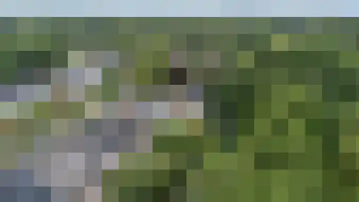 Kerspel 52 Vries thumbnail 51