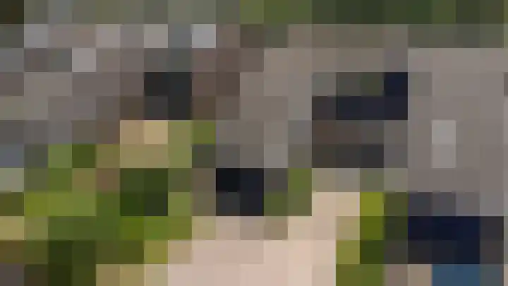 Kerspel 52 Vries thumbnail 6