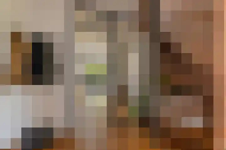 Kerspel 52 Vries thumbnail 8
