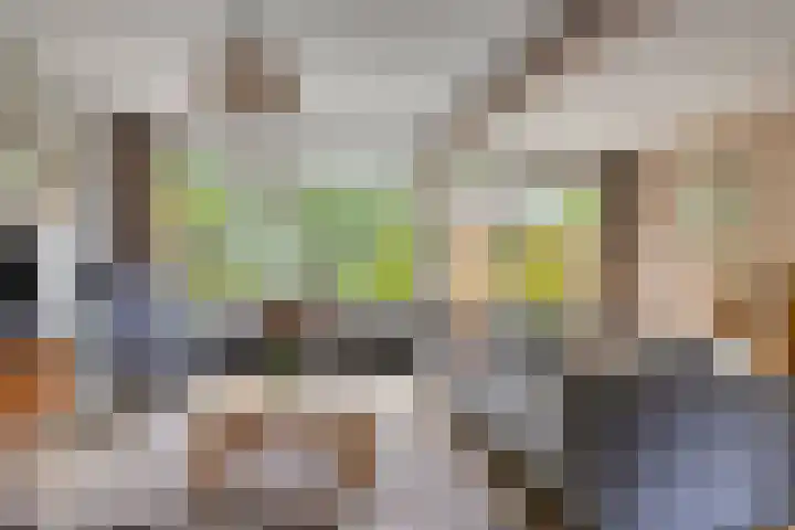Kerspel 58 Vries thumbnail 10