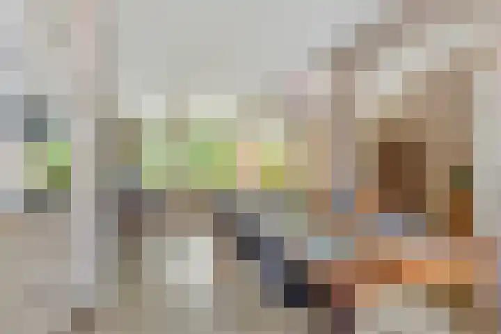 Kerspel 58 Vries thumbnail 13