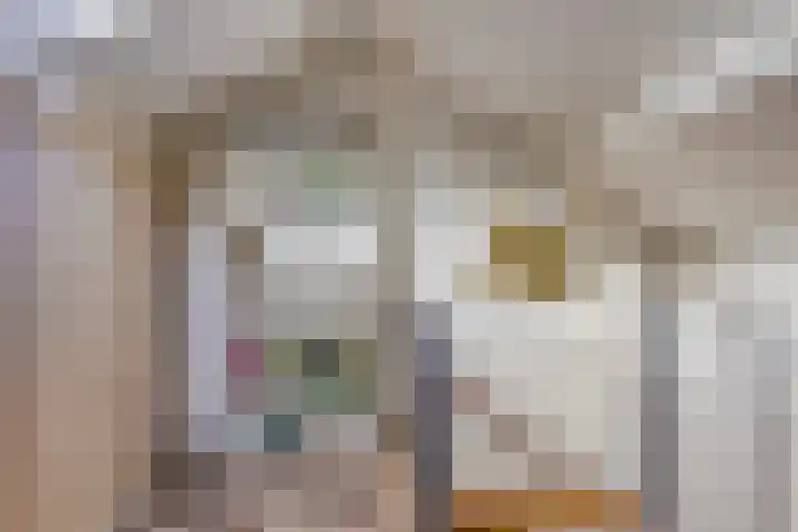 Kerspel 58 Vries thumbnail 24