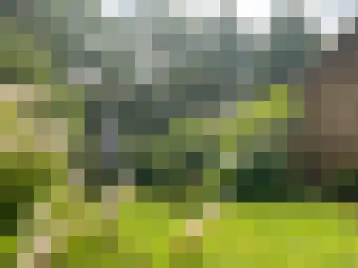 Kerspel 58 Vries thumbnail 29