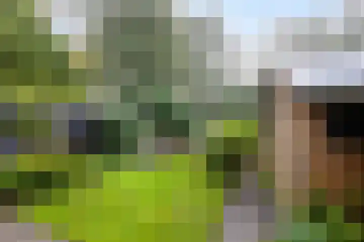 Kerspel 58 Vries thumbnail 30