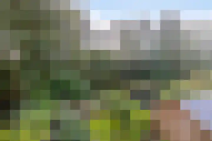 Kerspel 58 Vries thumbnail 31