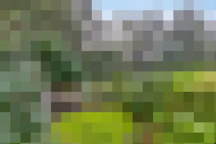 Kerspel 58 Vries thumbnail 32