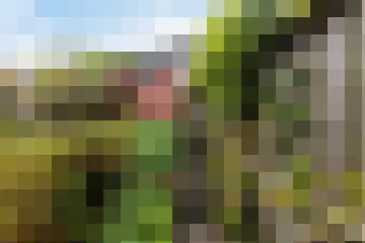 Kerspel 58 Vries thumbnail 33