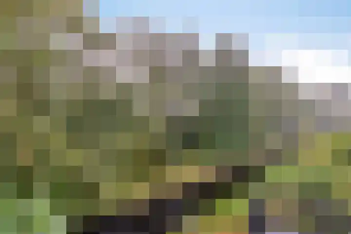 Kerspel 58 Vries thumbnail 34