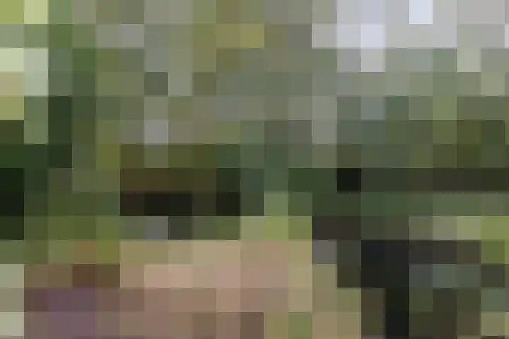 Kerspel 58 Vries thumbnail 35