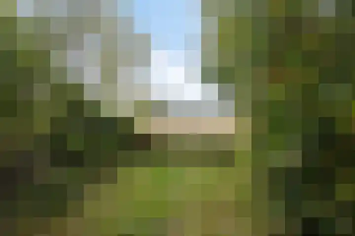 Kerspel 58 Vries thumbnail 36
