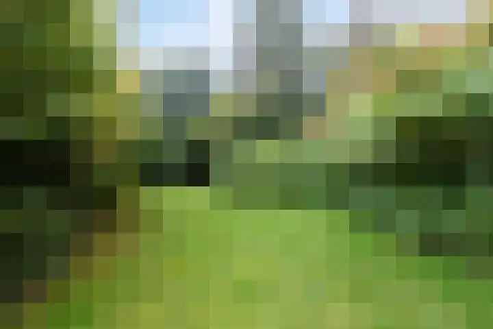 Kerspel 58 Vries thumbnail 38