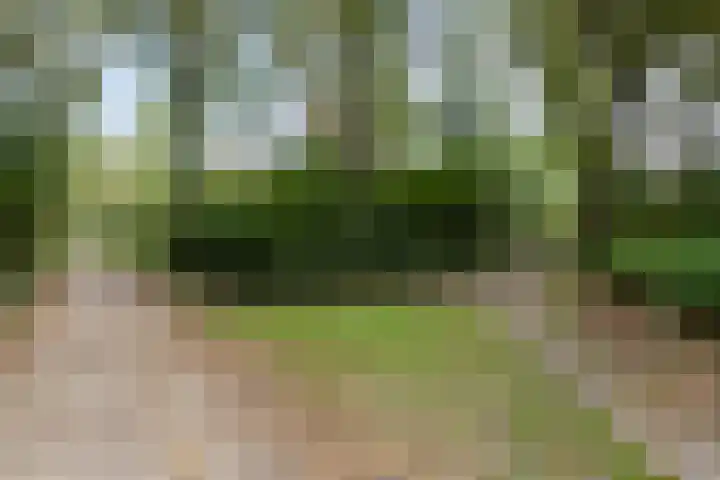 Kerspel 58 Vries thumbnail 39