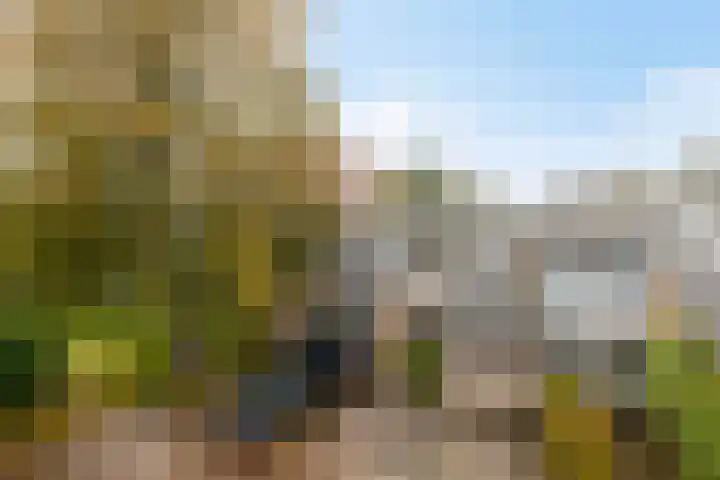 Kerspel 58 Vries thumbnail 41