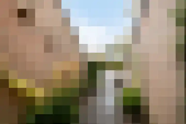 Kerspel 58 Vries thumbnail 6