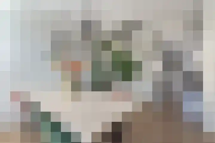 Kerspel 8 Borger thumbnail 8