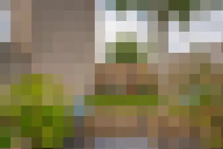 Kerspellaan 20 Assen thumbnail 30