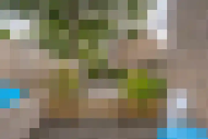 Kerspellaan 20 Assen thumbnail 31