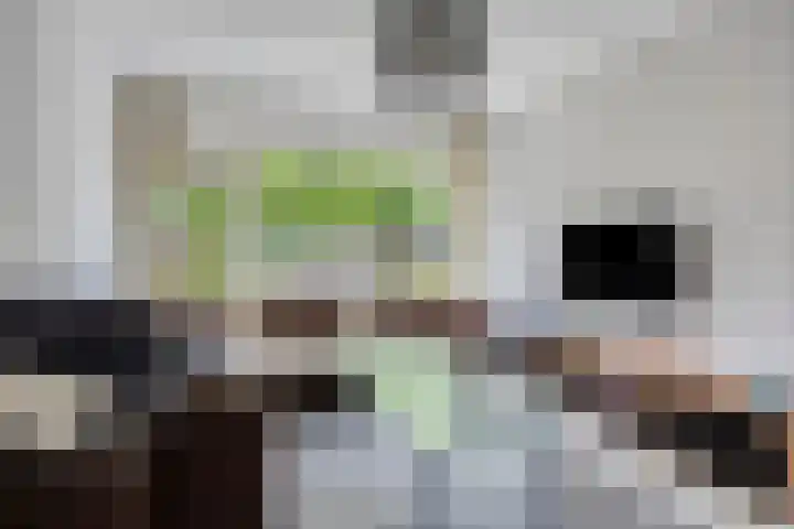 Kerspellaan 30 Emmen thumbnail 11