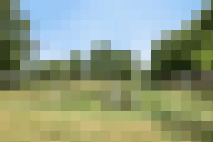 Kerspellaan 30 Emmen thumbnail 27