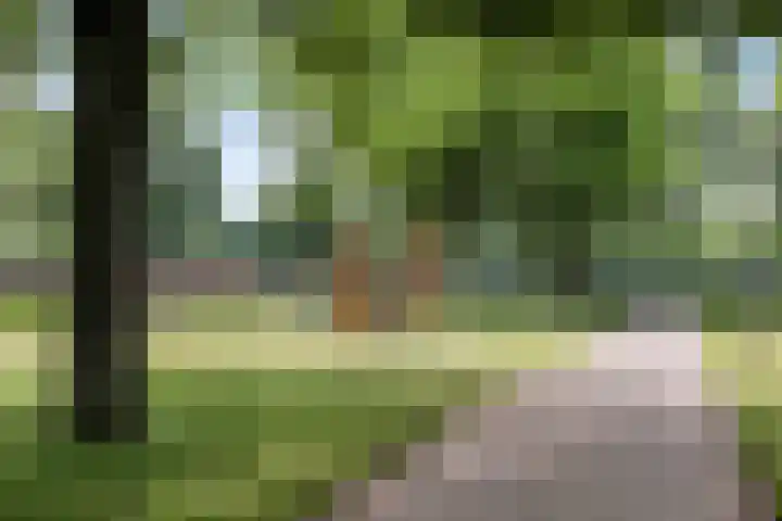 Kerspellaan 30 Emmen thumbnail 28