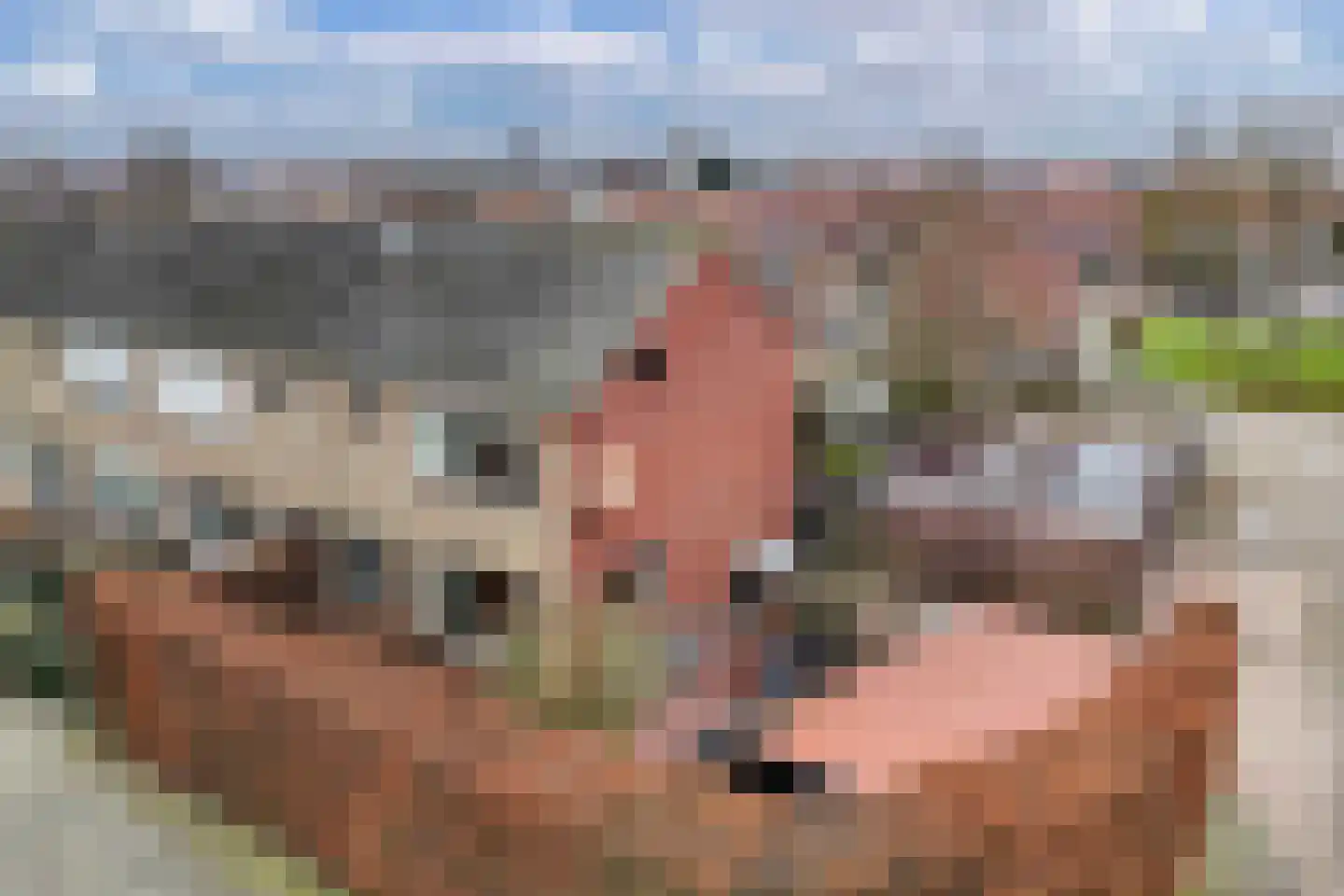 Kerspelstraat 22 IJsselmuiden thumbnail 4