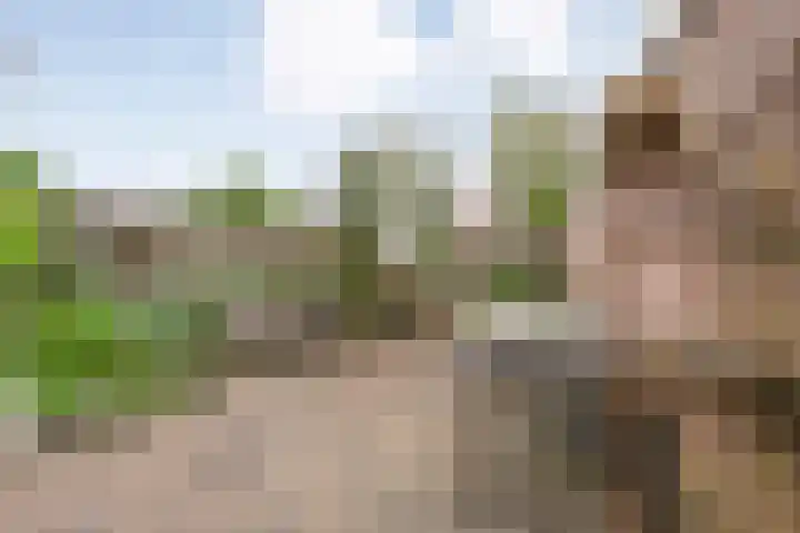 Kerspelweg 32 Raalte thumbnail 39