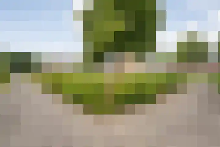 Kerspelweg 32 Raalte thumbnail 6