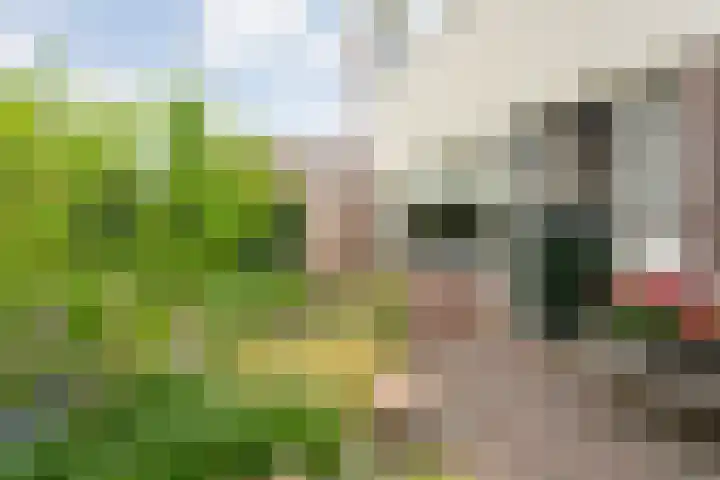 Kerspelweg 32 Raalte thumbnail 8