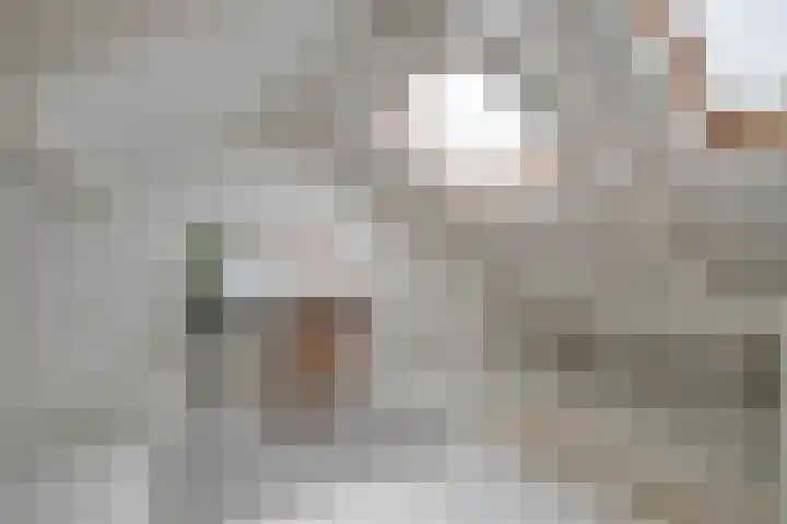 Kersstraat 27 Utrecht thumbnail 31