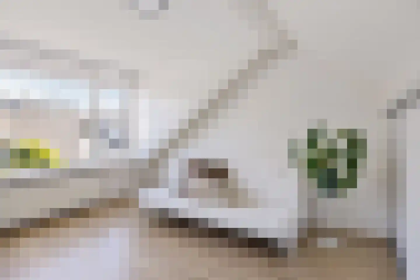 Kersstraat 28 Utrecht thumbnail 33
