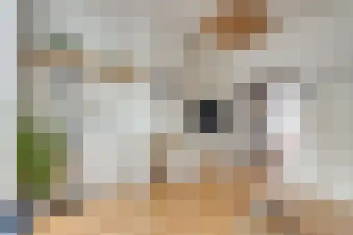 Kersstraat 9 Utrecht thumbnail 13