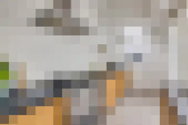 Kersstraat 9 Utrecht thumbnail 18