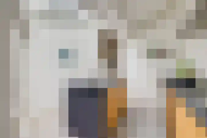Kersstraat 9 Utrecht thumbnail 19