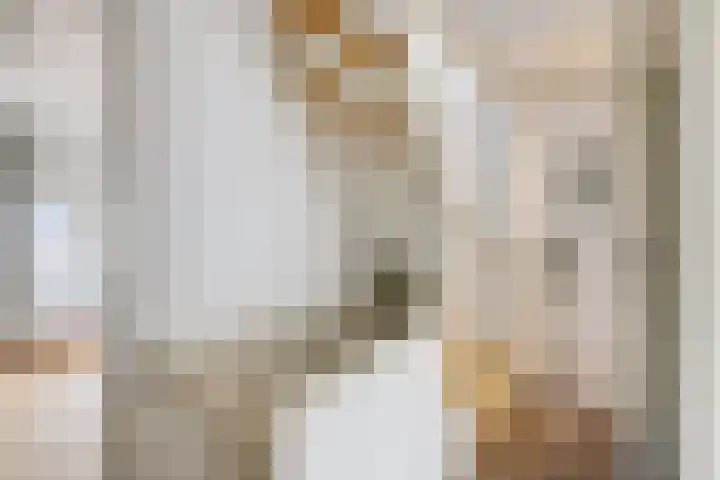 Kersstraat 9 Utrecht thumbnail 29