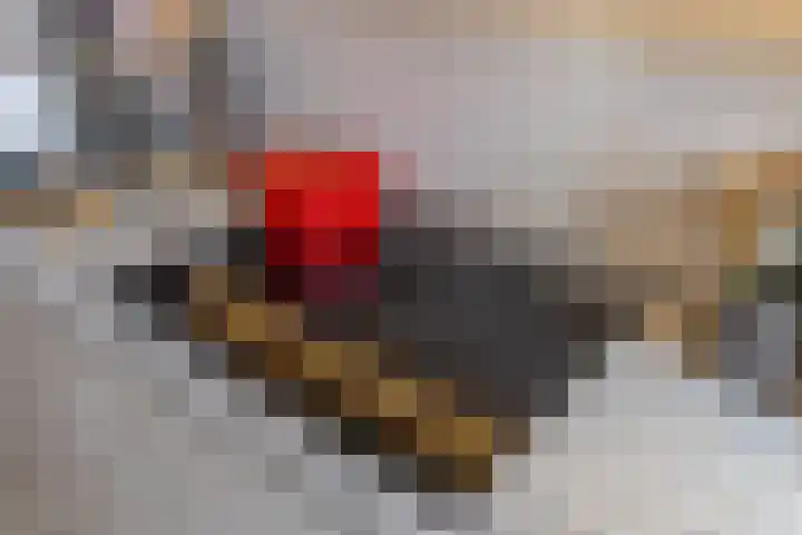 Kerstanjeburch 1 Rijswijk thumbnail 23
