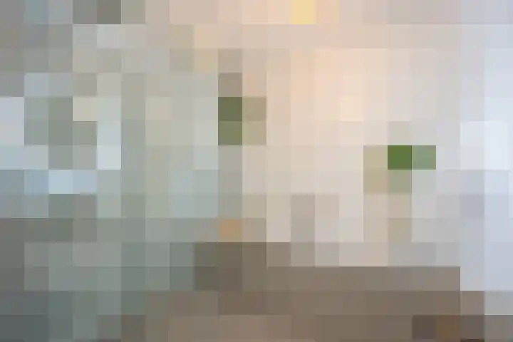 Kerstanjeburch 1 Rijswijk thumbnail 31
