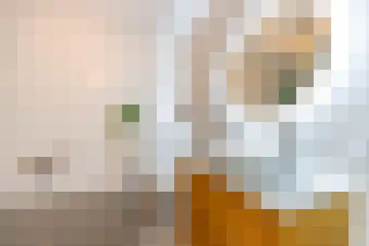 Kerstanjeburch 1 Rijswijk thumbnail 32