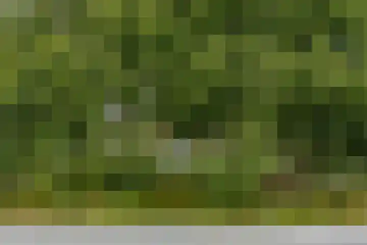 Kerstanjeburch 1 Rijswijk thumbnail 50