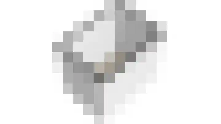 Kerstanjeburch 1 Rijswijk thumbnail 60